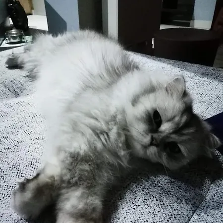 Chez Marianne Bed and breakfast Wailly